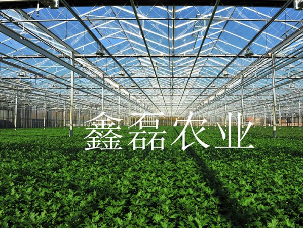 陽(yáng)光板溫室